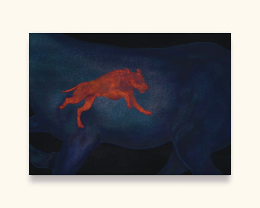 X-ray Digital Product