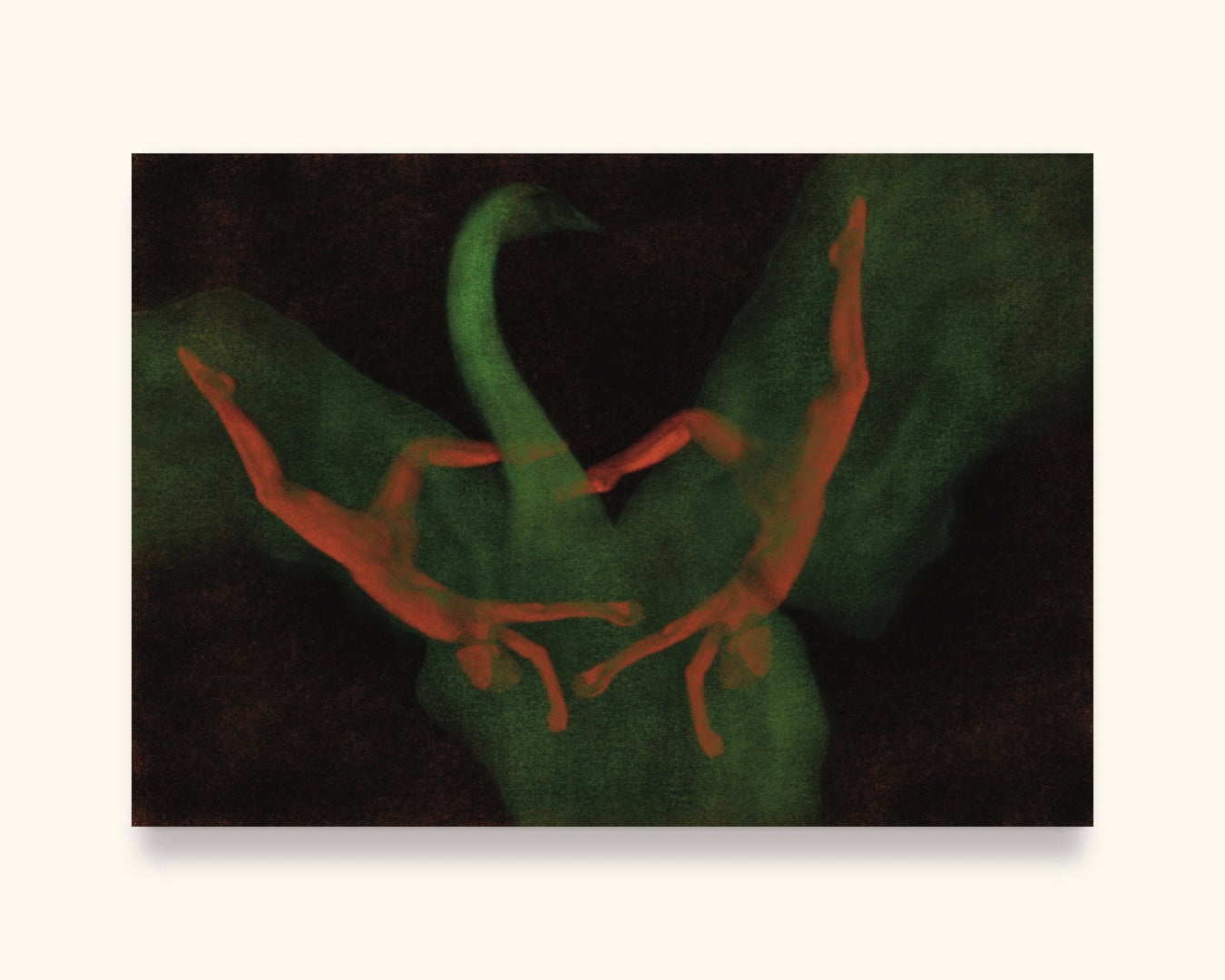 Falling Swan Digital Product