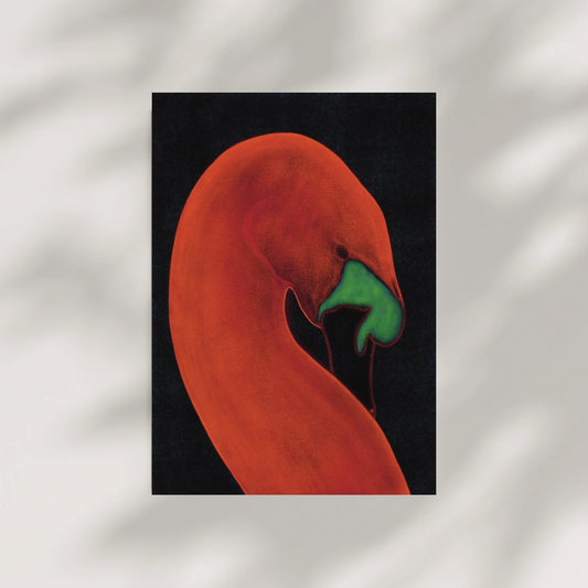 Swan Postcard