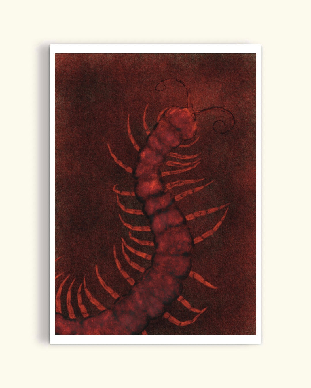 Centipede Digital Product