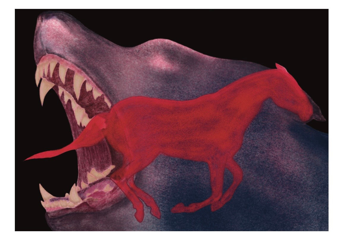 Fine Art Print Edition