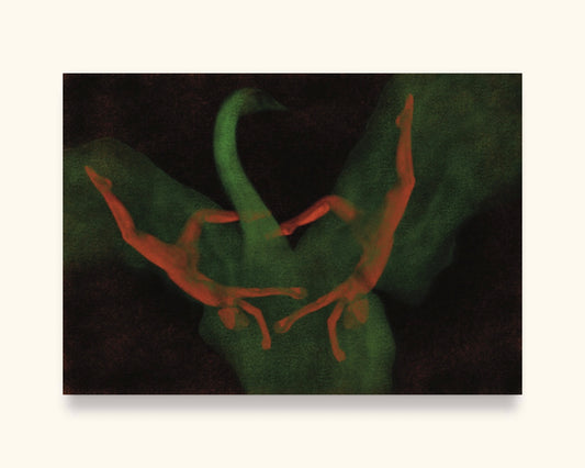 Falling Swan Digital Product