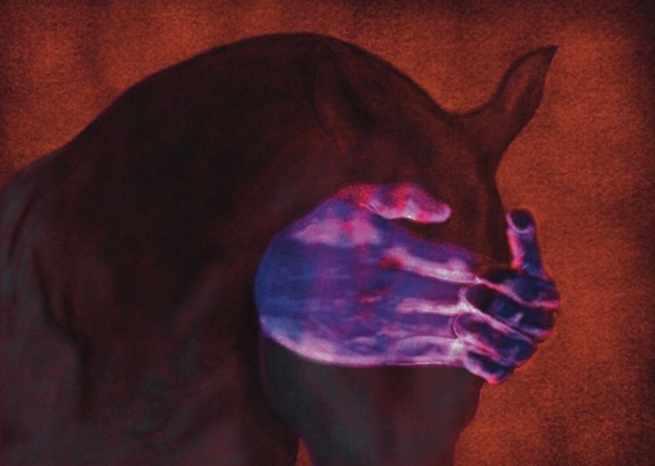 Fine Art Print Visions