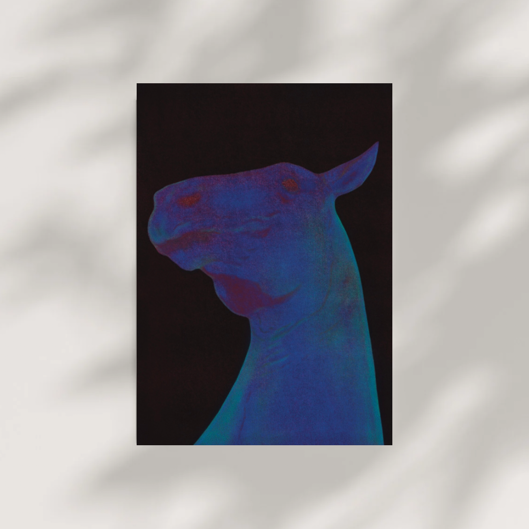Postcard Fear